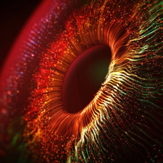 Binary circle forming volumetric a human eye iris and pupil